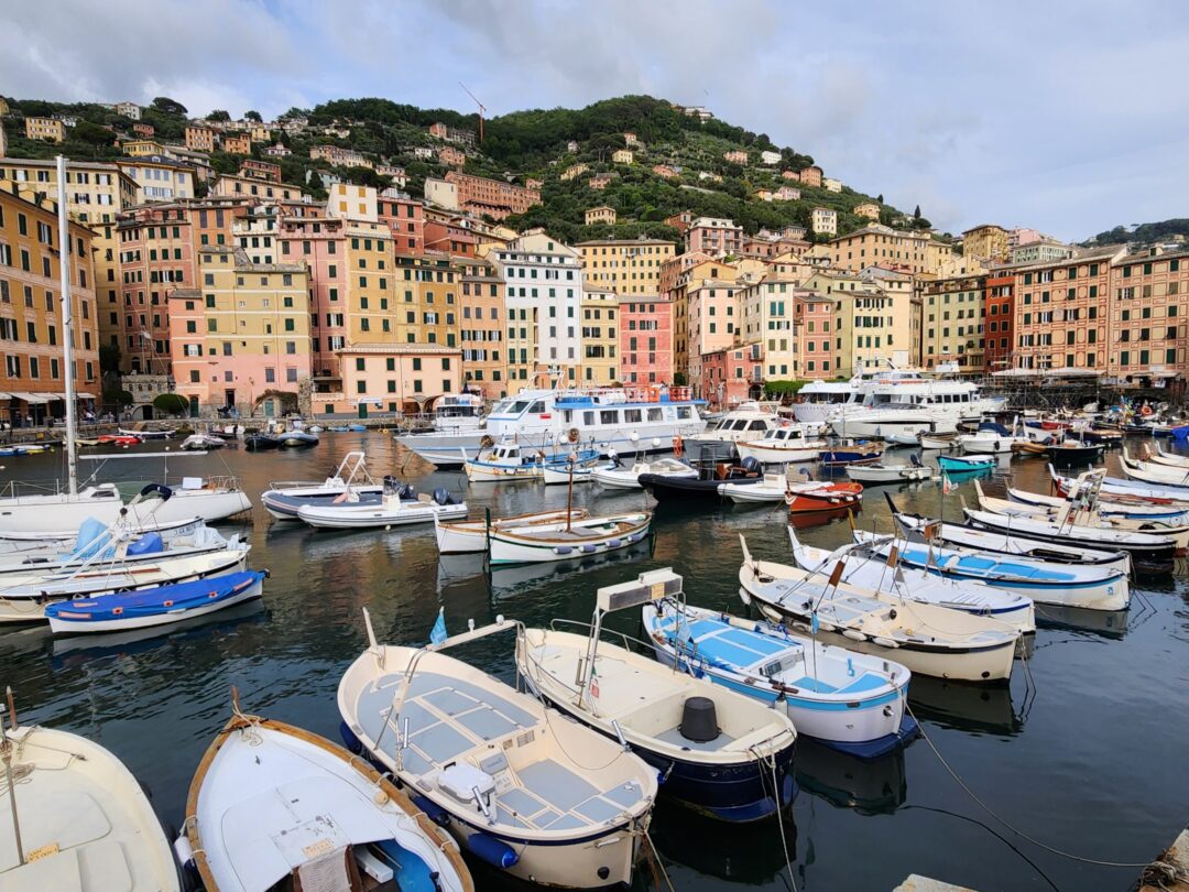 camogli mike izumi